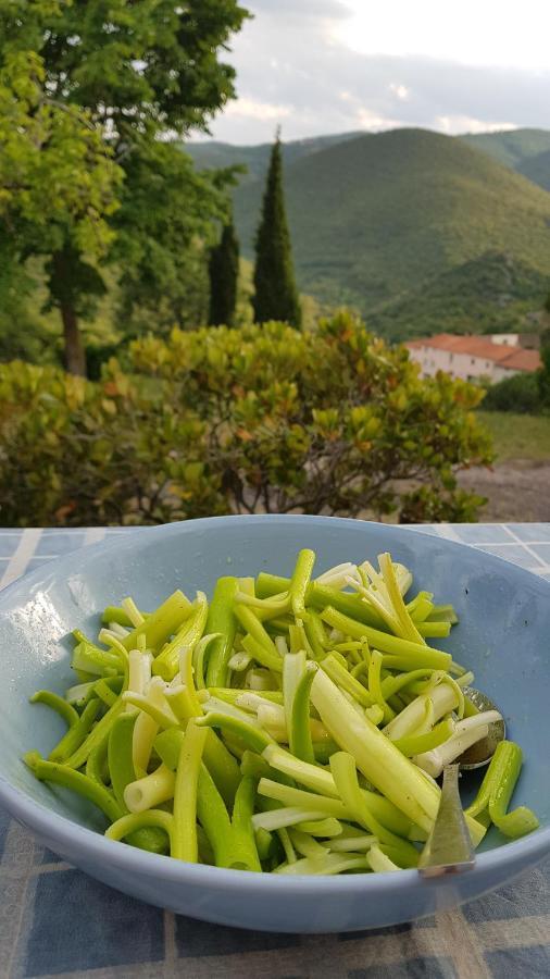 Gites-Terroirs-Occitanie Felluns Extérieur photo